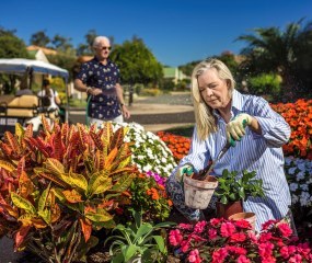 Compare retirement villages in Maroochydore - Allora Gardens