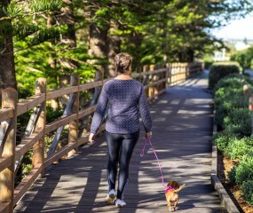 Compare retirement villages in Sippy Downs - Hibiscus Chancellor Park